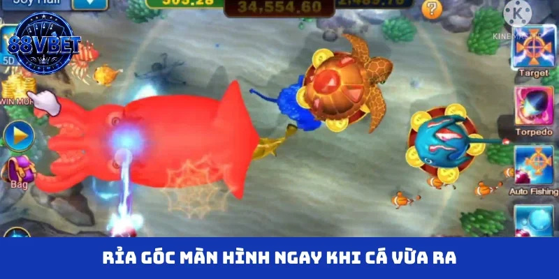 Rỉa góc màn hình ngay khi cá vừa ra