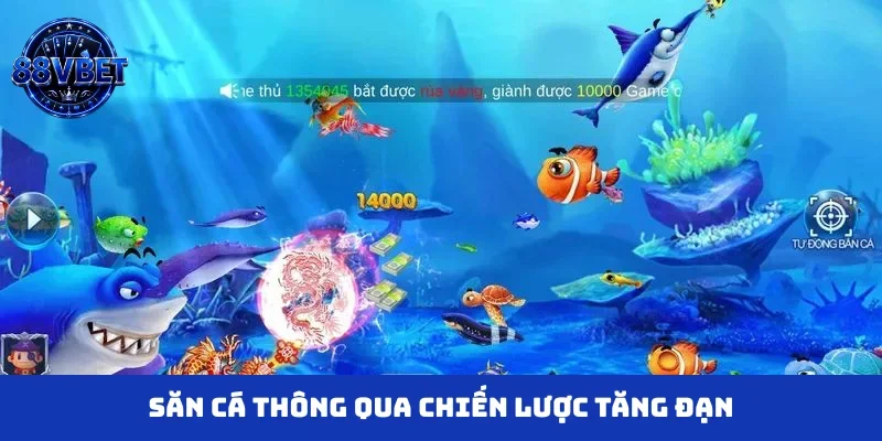 Săn cá thông qua chiến lược tăng đạn